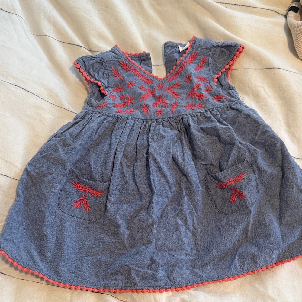 Old Navy Blue Dress with Red Embroidery